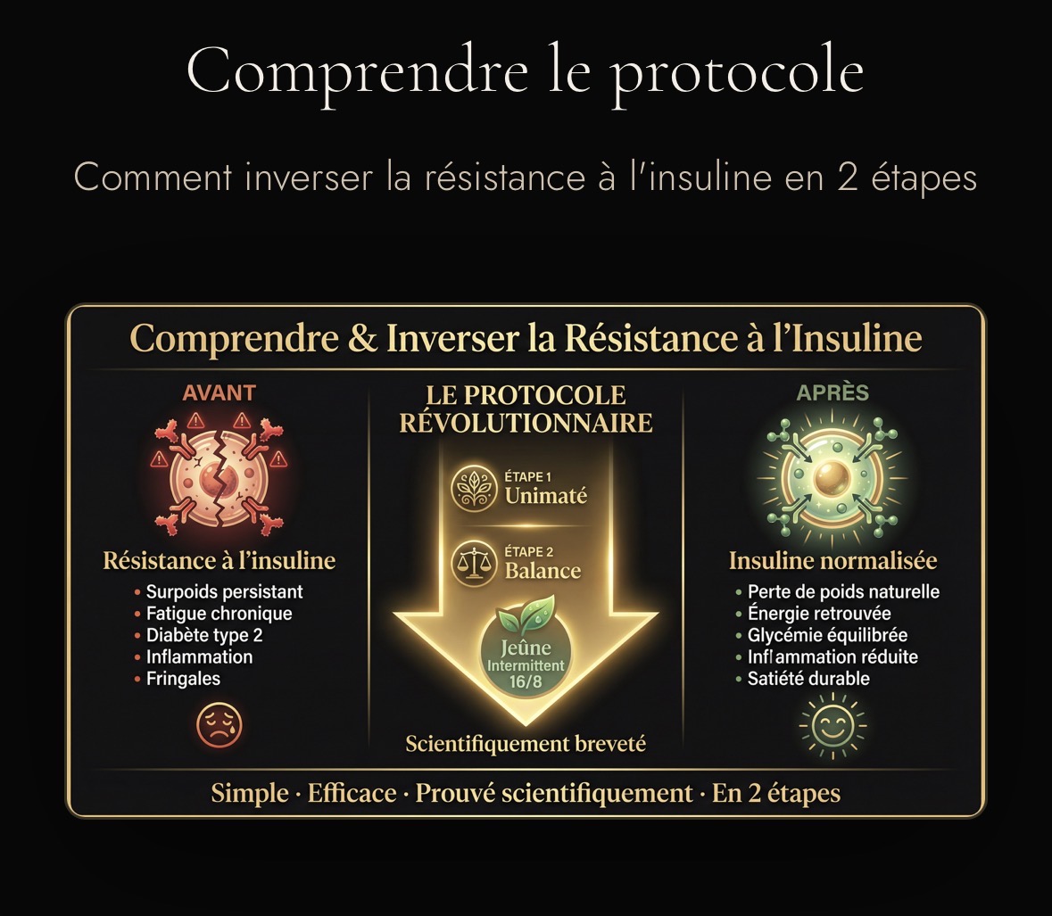 Comprendre et inverser la résistance à l'insuline