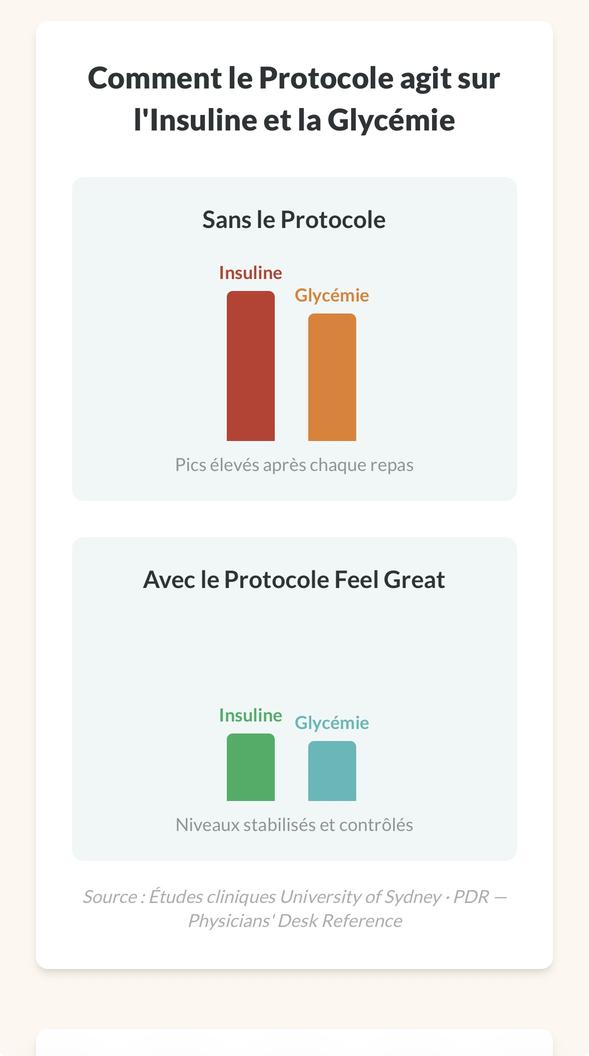 Comment le protocole agit sur l'insuline et la glycémie